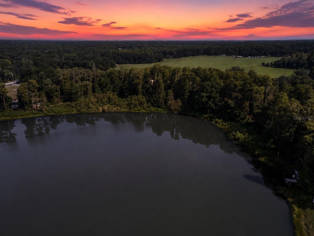 An aerial view shows a lake bordered by dense trees and a field at sunset — 18117 BOY SCOUT ROAD, ODESSA, FL