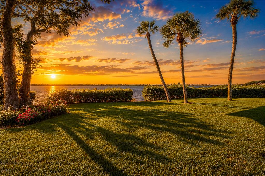 A grassy lawn with palm trees and a large tree overlooks a lake at sunset — 56 TIDY ISLAND BOULEVARD UNIT 56, BRADENTON, FL