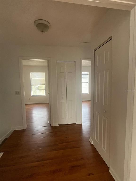 A hallway with wood-look flooring leads to two doorways and features two white closet doors — 11001 SPRINGRIDGE DRIVE, TAMPA, FL