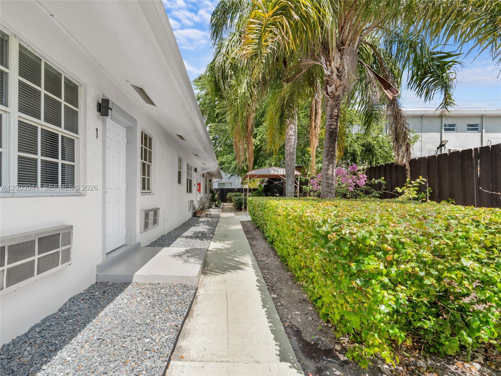 A concrete walkway runs alongside a white building with a hedge and palm trees — 571 NE 67th St, Miami FL 33138, MIAMI, FL