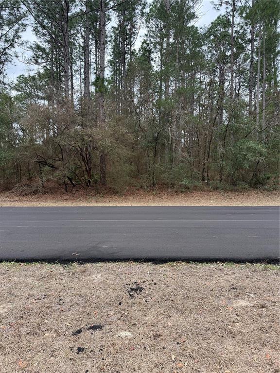 SW 135TH LOOP, OCALA, FL — photo 2 of 7