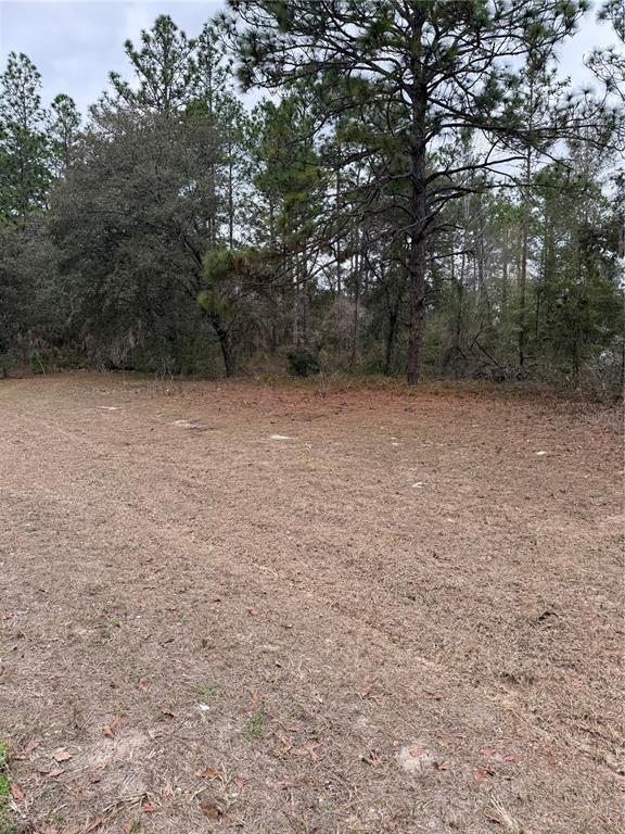 SW 135TH LOOP, OCALA, FL — photo 3 of 7