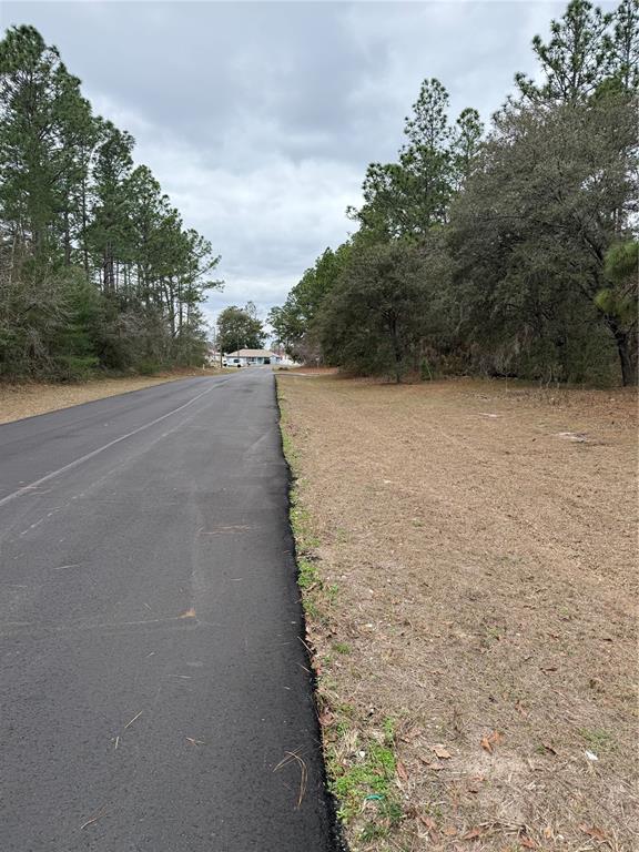 SW 135TH LOOP, OCALA, FL — photo 4 of 7