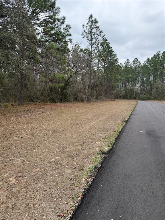 SW 135TH LOOP, OCALA, FL — photo 5 of 7