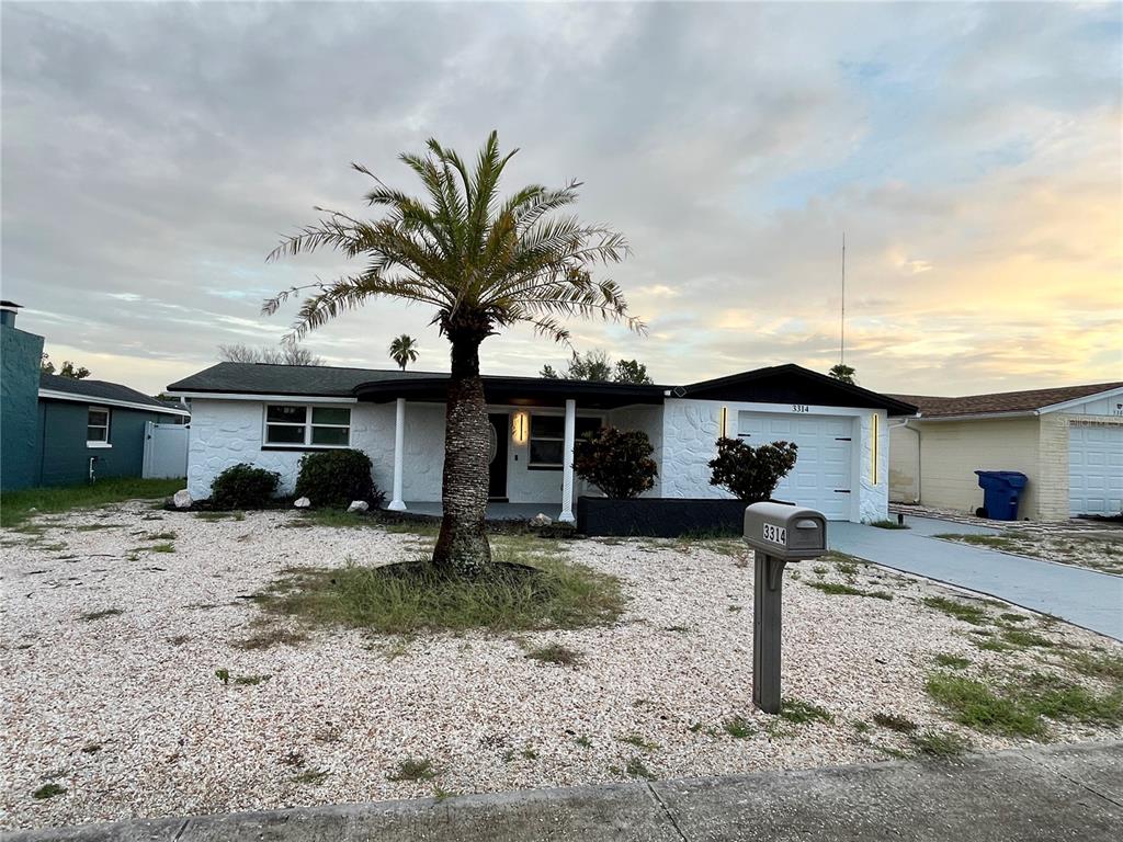 A single-story white house with a palm tree in the front gravel yard — 3314 TRASK DRIVE, HOLIDAY, FL