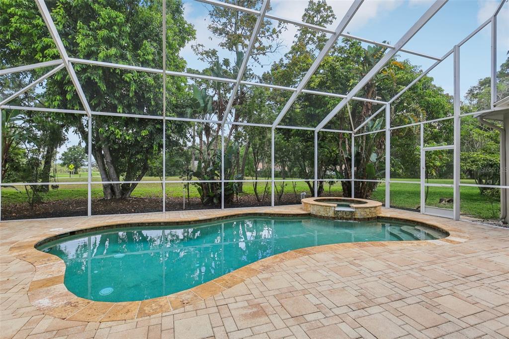 A screened-in swimming pool and spa with a stone paver deck surrounded by lush trees — 3062 SUTTON WOODS DRIVE, PLANT CITY, FL