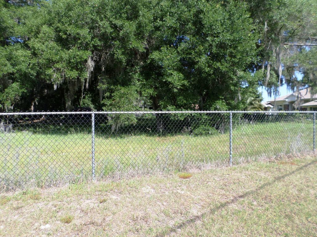 A chain-link fence separates a grassy lot from a dense line of mature trees — 000 BLUE HERON CT UNIT 000, DUNNELLON, FL
