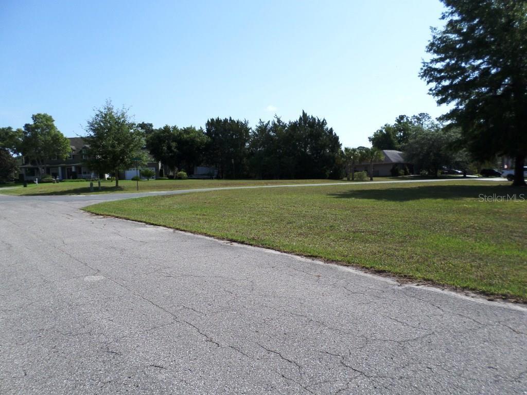A vacant grassy corner lot sits beside an asphalt road in a residential neighborhood — 000 BLUE HERON CT UNIT 000, DUNNELLON, FL