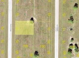 This is an aerial map view of a rectangular plot of land — 24 CHINABERRY WAY, PLACIDA, FL