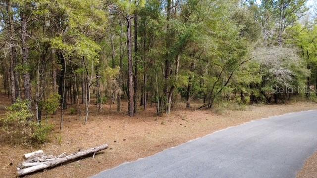 SW 73 LOOP, DUNNELLON, FL — photo 3 of 22