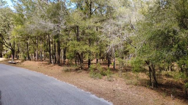 SW 73 LOOP, DUNNELLON, FL — photo 4 of 22