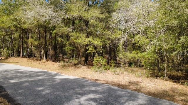 SW 73 LOOP, DUNNELLON, FL — photo 5 of 22