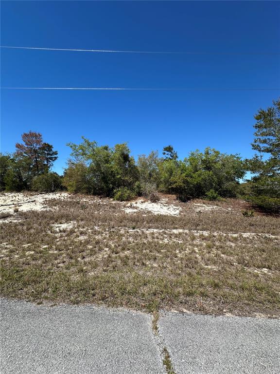 A vacant, sandy lot with scattered shrubs and trees sits behind a paved road — 1386 HOMOSASSA DRIVE, KISSIMMEE, FL