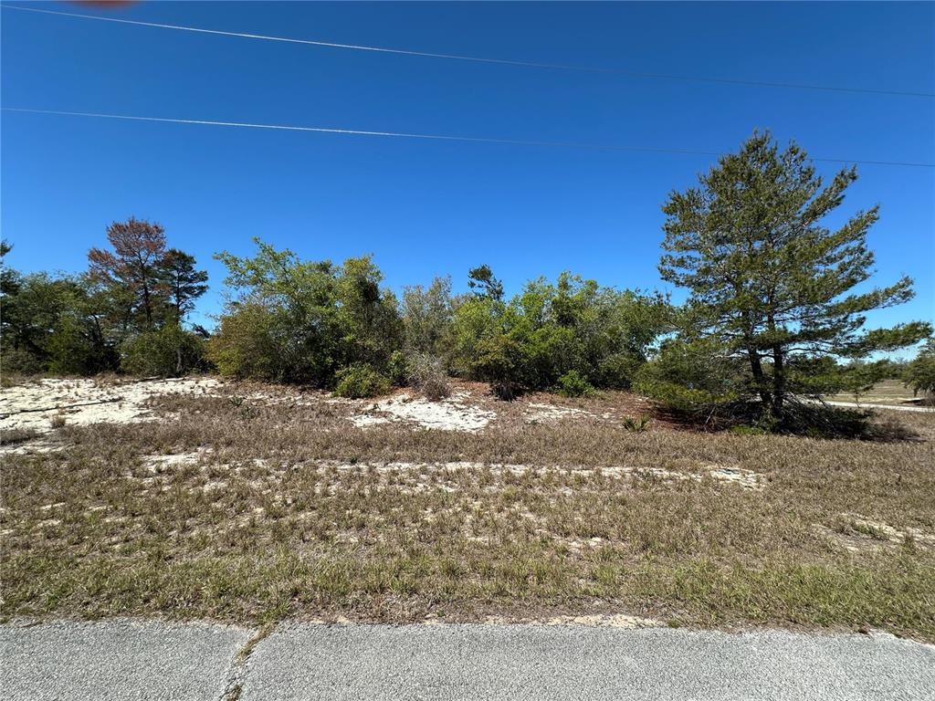 A vacant, sandy lot with sparse grass and scattered trees under a clear blue sky — 1386 HOMOSASSA DRIVE, KISSIMMEE, FL