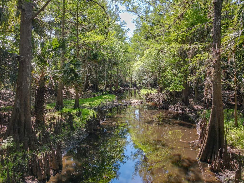 A narrow, dark stream flows through a lush, wooded area with many cypress trees and knees — 1501 ASHBY CREEK ROAD, OSTEEN, FL