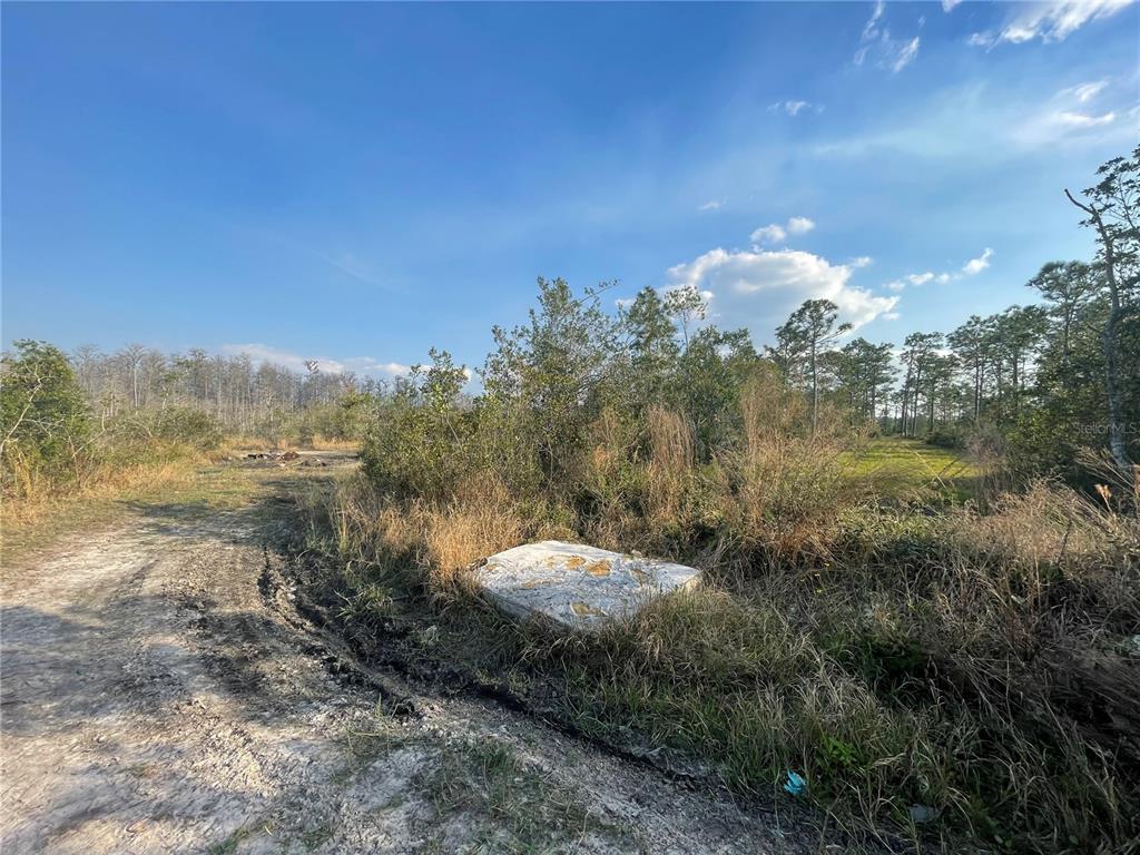 A dirt path leads through a grassy, wooded lot with a discarded mattress in the foreground — TOPEKA AVENUE, ST CLOUD, FL