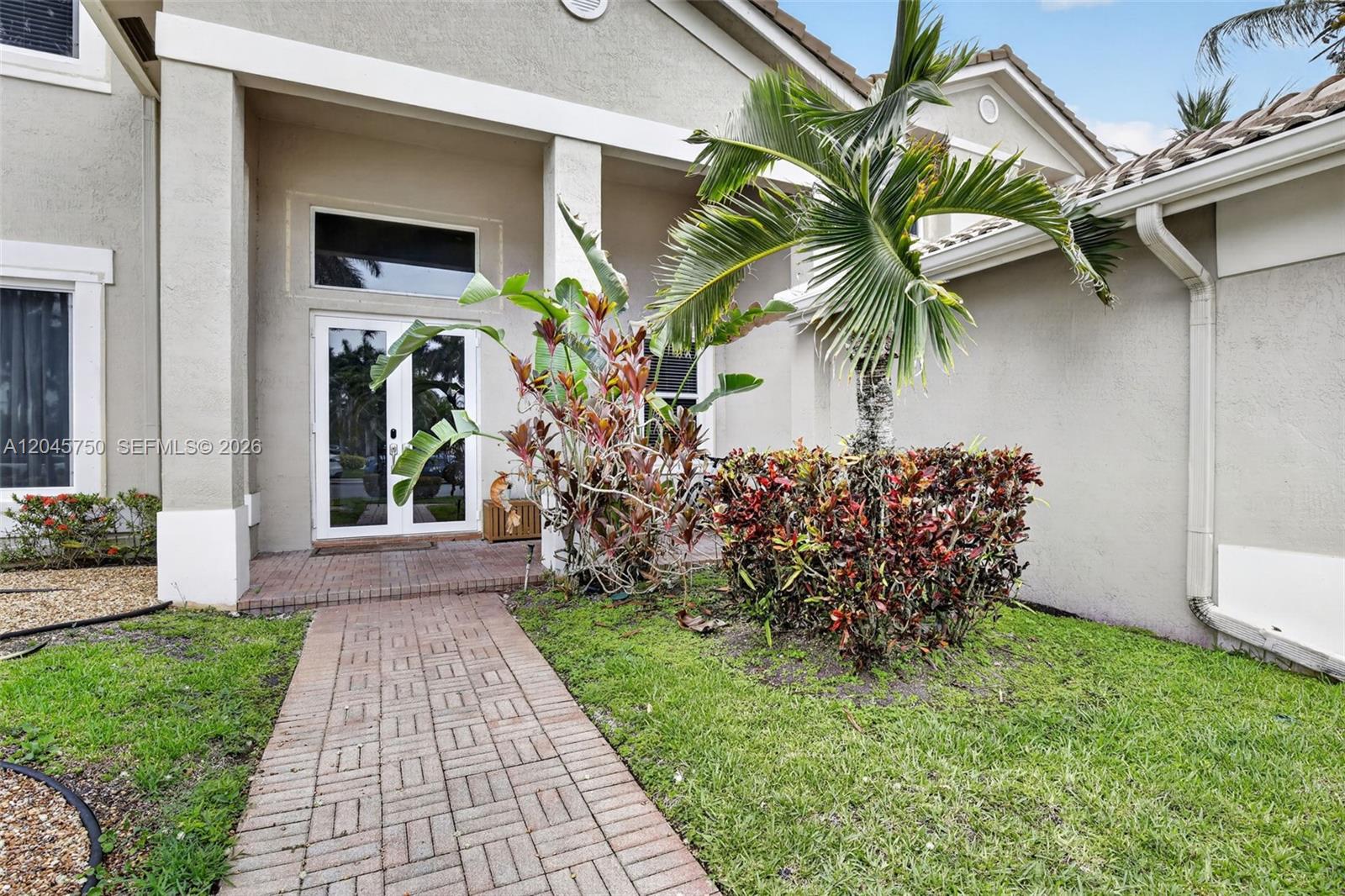 A brick walkway leads to the front entrance of a house with a palm tree — 981 Waterside Cir, Weston FL 33327, WESTON, FL