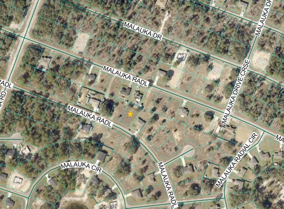 This is an aerial map view of a residential neighborhood with highlighted property lines — MALAUKA RADIAL, OCKLAWAHA, FL