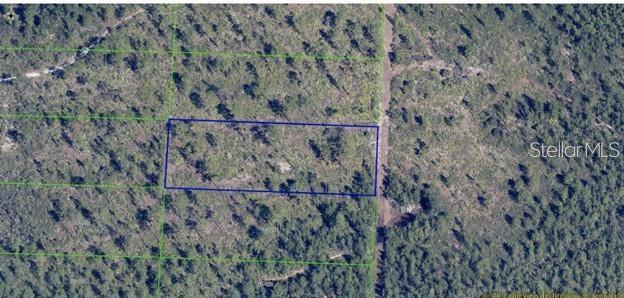 An aerial view shows a rectangular plot of land outlined in blue amidst wooded terrain — DILL ROAD, ORLANDO, FL