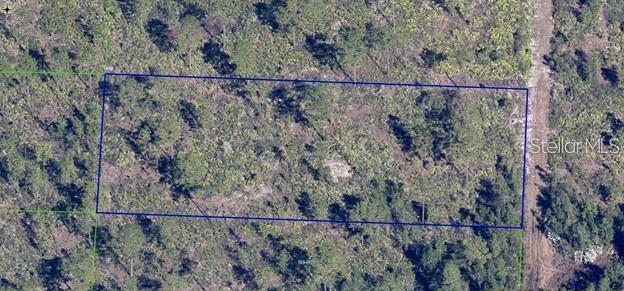 An aerial view shows a rectangular plot of undeveloped, wooded land outlined in blue — DILL ROAD, ORLANDO, FL