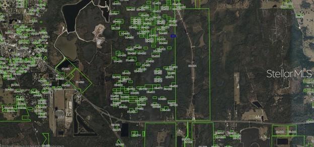 This is an aerial map showing property boundaries outlined in green over a wooded area — DILL ROAD, ORLANDO, FL