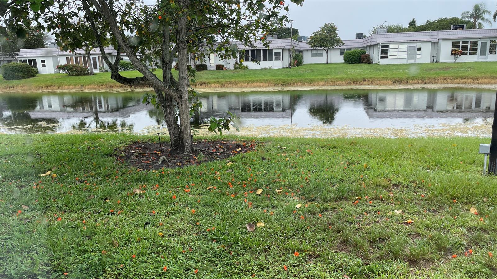 166 Valencia G, Delray Beach FL 33446