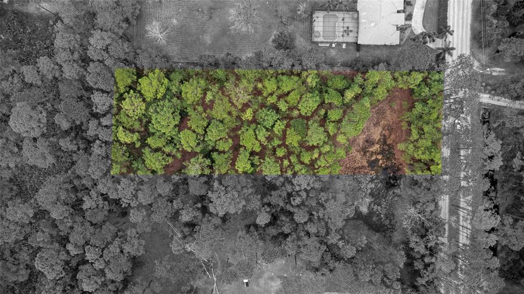 SANCTUARY AVENUE, DEBARY, FL — photo 4 of 16