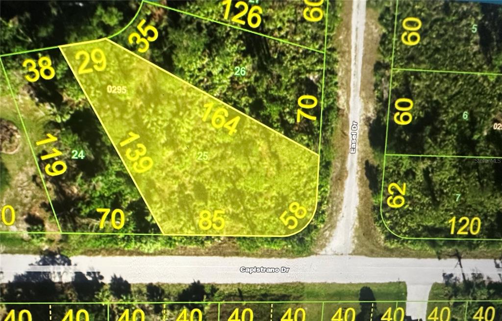 This is a map showing the property boundaries of a vacant lot — 27098 CAPISTRANO DRIVE, PUNTA GORDA, FL