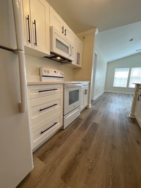 A kitchen features white cabinets, stainless steel appliances, and wood-look flooring — 18319 BRIDLE CLUB DRIVE, TAMPA, FL