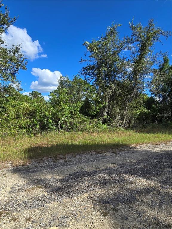 A gravel road runs in front of a densely wooded, undeveloped lot under a blue sky — 419 WILDER AVENUE S, LEHIGH ACRES, FL