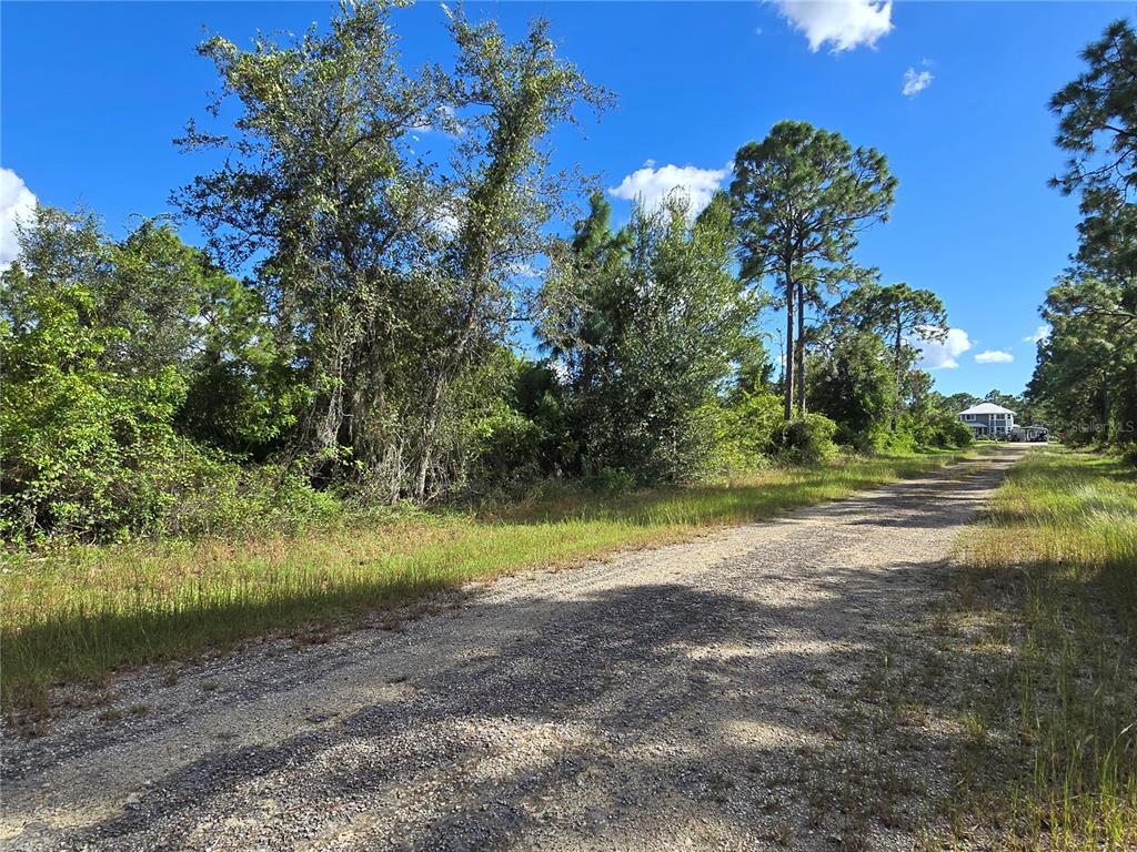 A gravel road leads past dense trees and vegetation toward a house in the distance — 419 WILDER AVENUE S, LEHIGH ACRES, FL