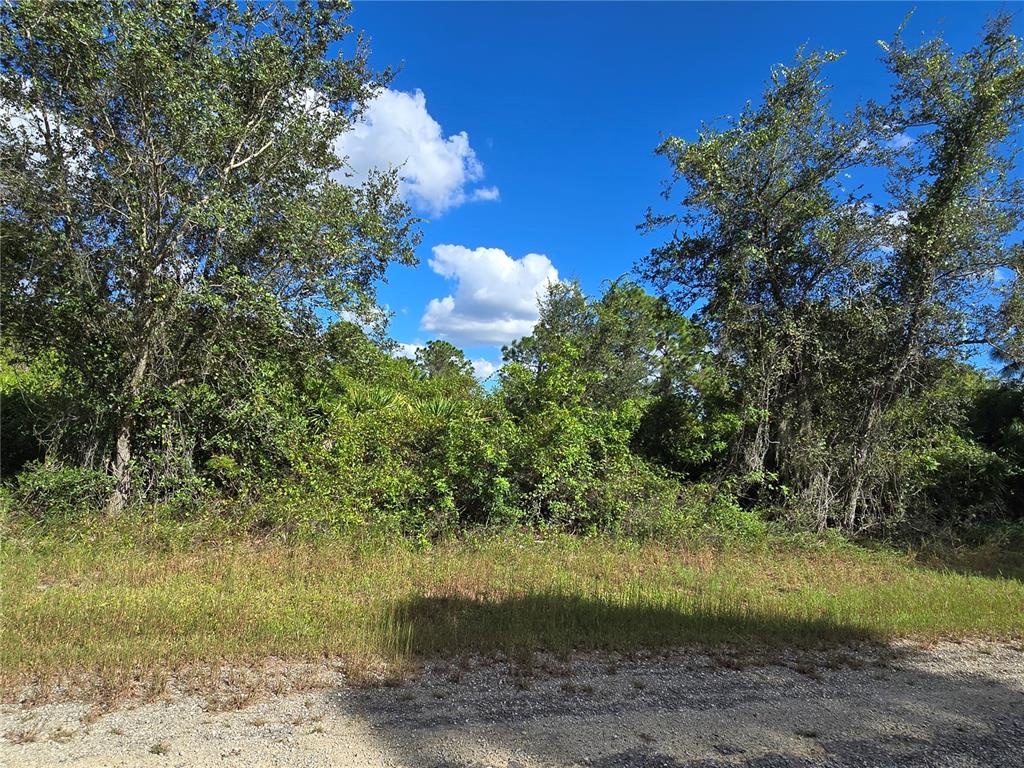 A view of a vacant, wooded lot with dense vegetation and trees under a blue sky — 419 WILDER AVENUE S, LEHIGH ACRES, FL