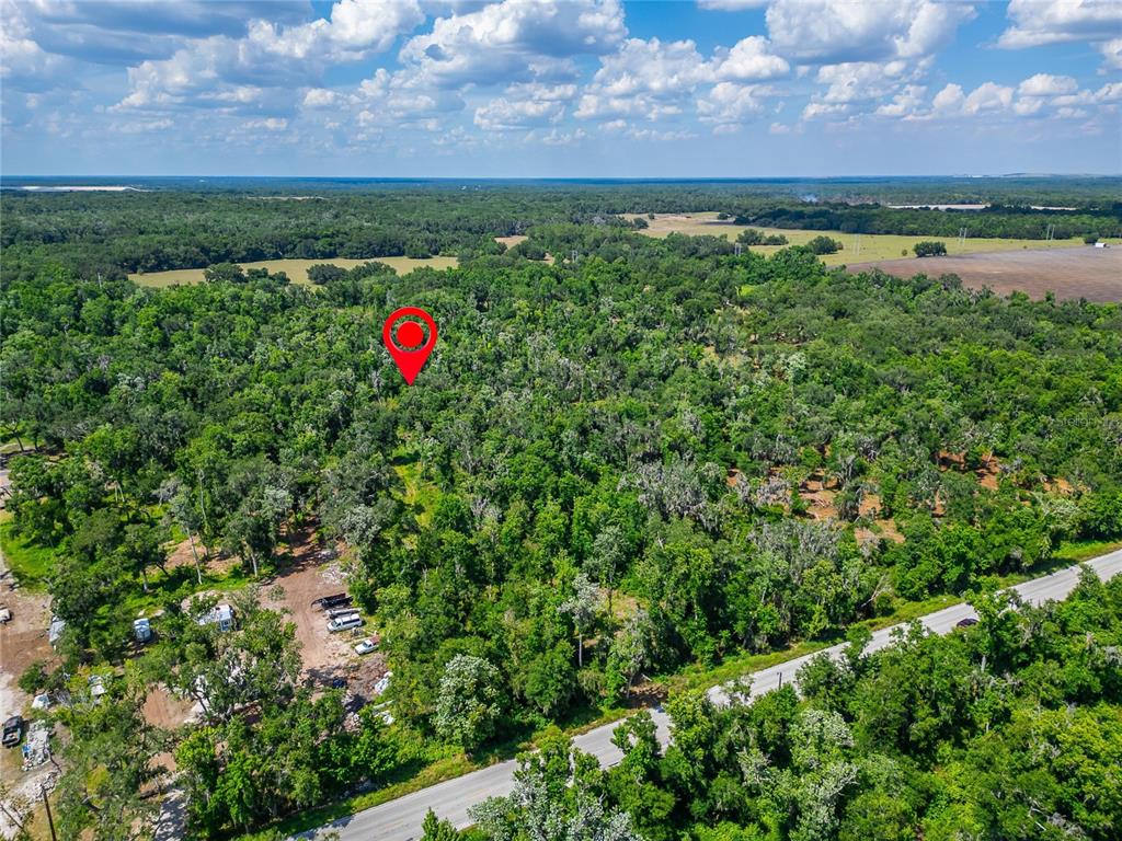 An aerial view shows a red location marker over a dense, wooded lot near a road — 672 HIGHWAY, LITHIA, FL