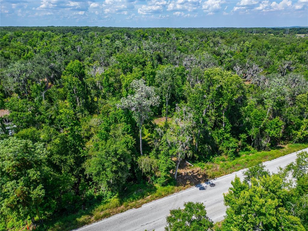 An aerial view shows a paved road running alongside a dense, wooded forest area — 672 HIGHWAY, LITHIA, FL