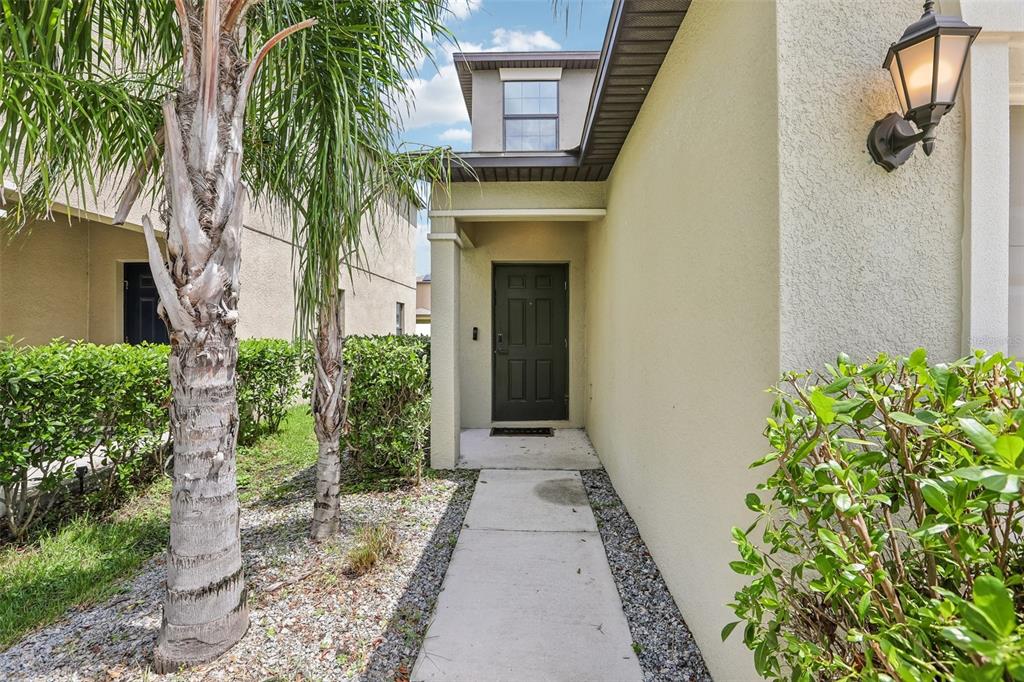 A concrete walkway leads to the dark front door of a beige stucco home — 7414 CLARY SAGE AVENUE, TAMPA, FL
