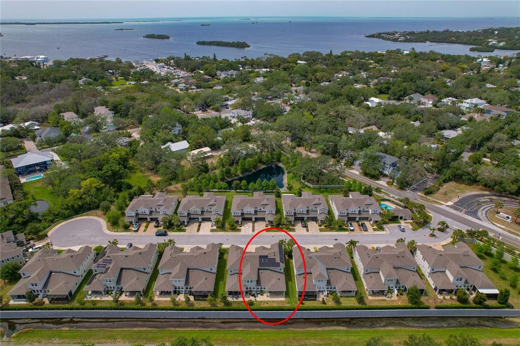 An aerial view shows a residential neighborhood with townhomes, a pond, and coastal water — 597 OZONA VILLAGE DRIVE, PALM HARBOR, FL