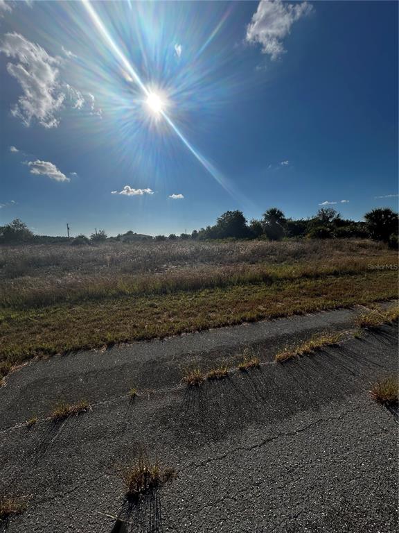 A paved road borders a large, grassy, undeveloped field under a bright, sunny sky — 216 LEINSTER PLACE, LABELLE, FL