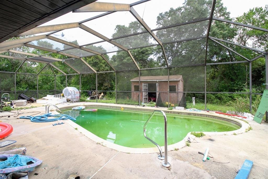 A screened-in pool area with a green, unmaintained pool and a small wooden shed — 15791 SW 46TH CIRCLE, OCALA, FL