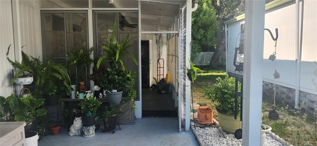3702 TIKI DRIVE, HOLIDAY, FL — photo 3 of 25