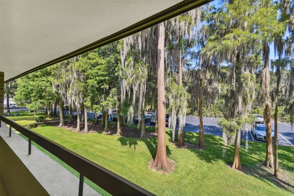 A view from a balcony overlooking a grassy lawn, parking lot, and moss-draped trees — 36750 US HIGHWAY 19 N UNIT 04239, PALM HARBOR, FL