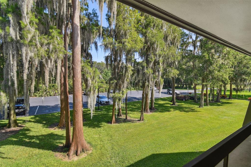 An elevated view of a grassy lawn, tall trees with Spanish moss, and a parking lot — 36750 US HIGHWAY 19 N UNIT 04239, PALM HARBOR, FL