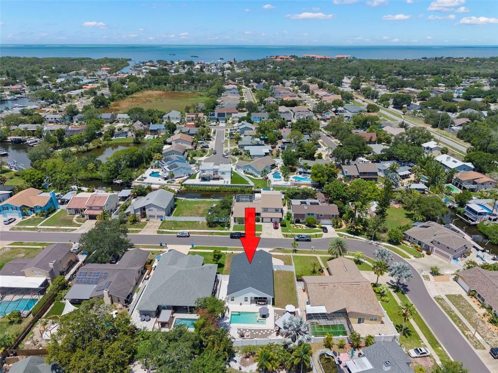 4827 BLUE JAY CIRCLE, PALM HARBOR, FL — photo 2 of 30
