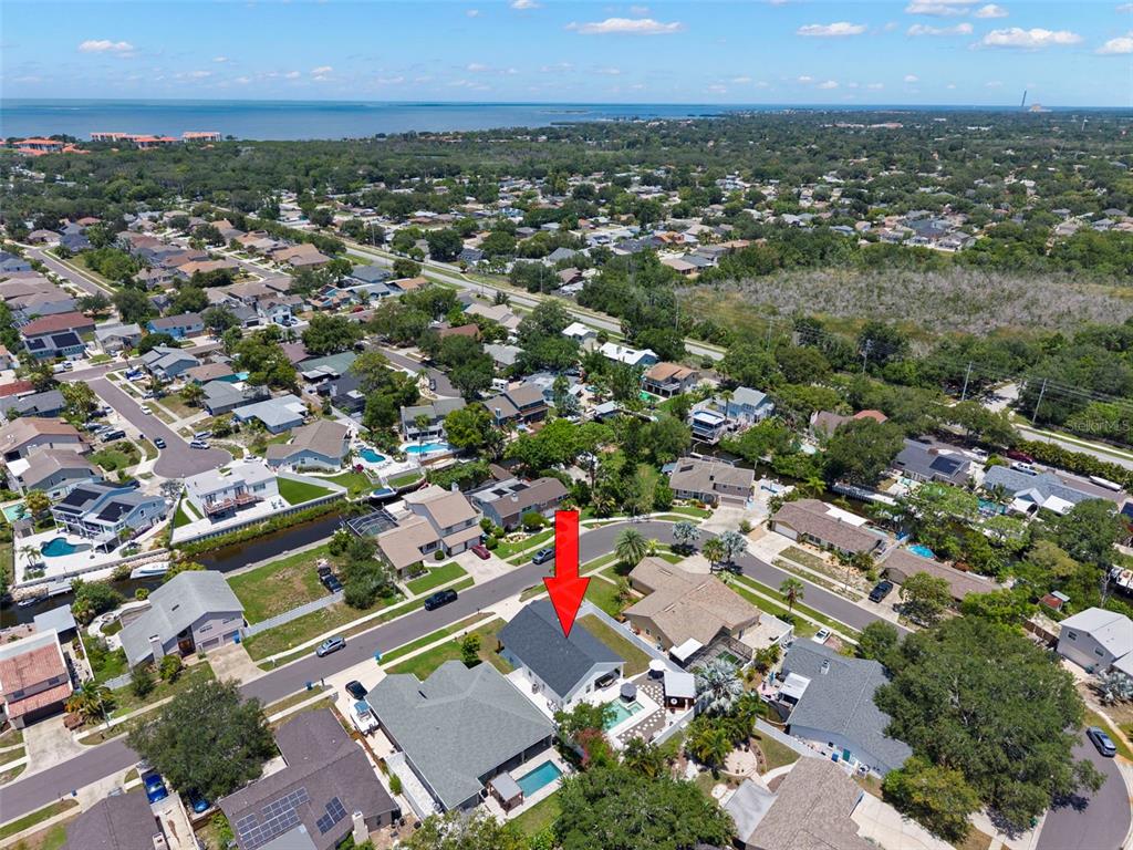 4827 BLUE JAY CIRCLE, PALM HARBOR, FL — photo 4 of 30