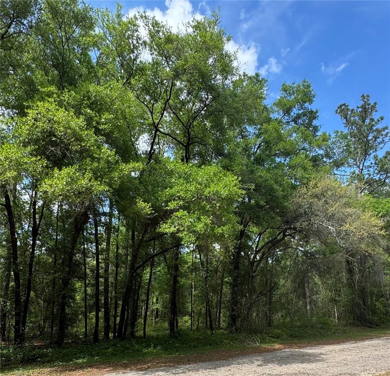 433 E AVONDALE DRIVE, DUNNELLON, FL — photo 3 of 5