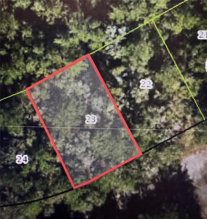 433 E AVONDALE DRIVE, DUNNELLON, FL — photo 4 of 5