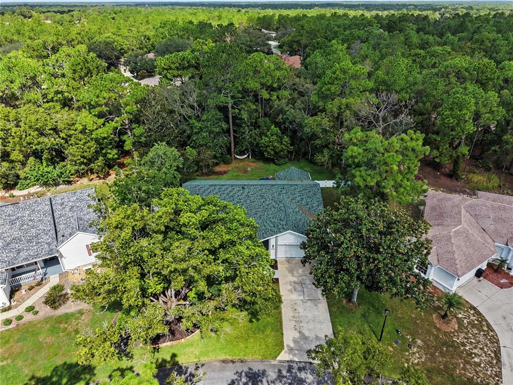 10 COLUBRINA COURT, HOMOSASSA, FL — photo 2 of 30