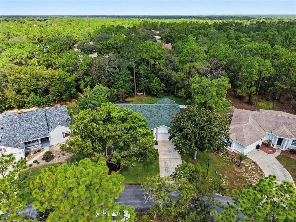 10 COLUBRINA COURT, HOMOSASSA, FL — photo 3 of 30
