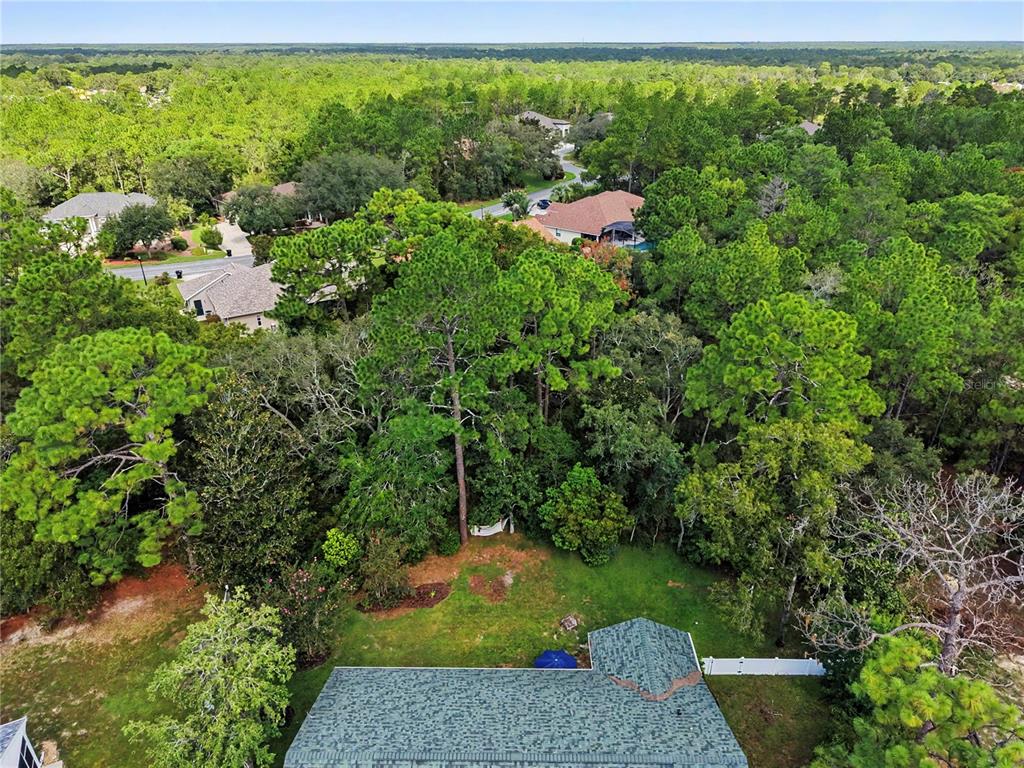 10 COLUBRINA COURT, HOMOSASSA, FL — photo 4 of 30