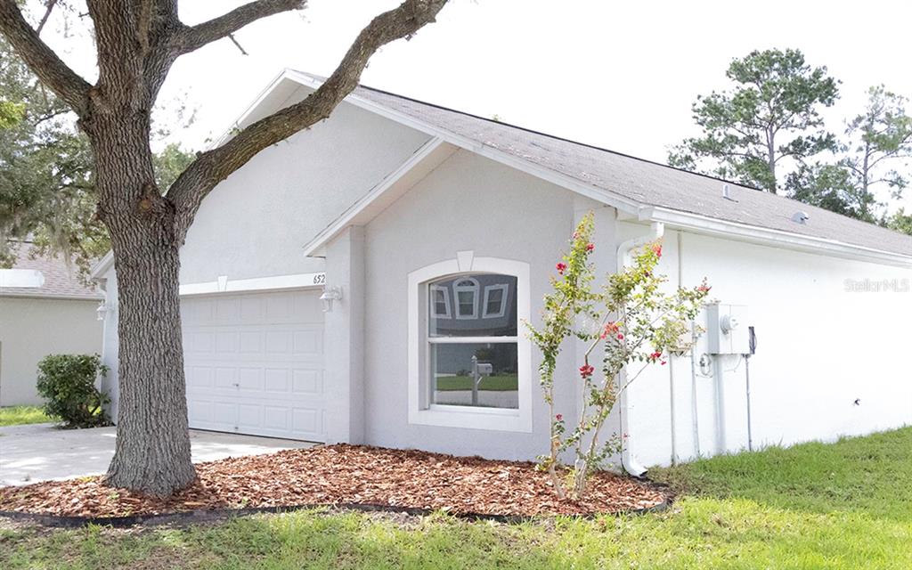 6529 TABOGI TRAIL, WESLEY CHAPEL, FL — photo 2 of 20