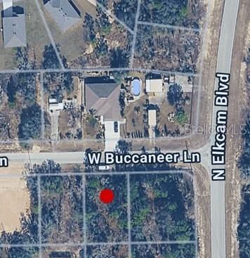 This is an aerial map view showing a vacant lot marked with a red dot — 2802 W BUCCANEER LANE, CITRUS SPRINGS, FL